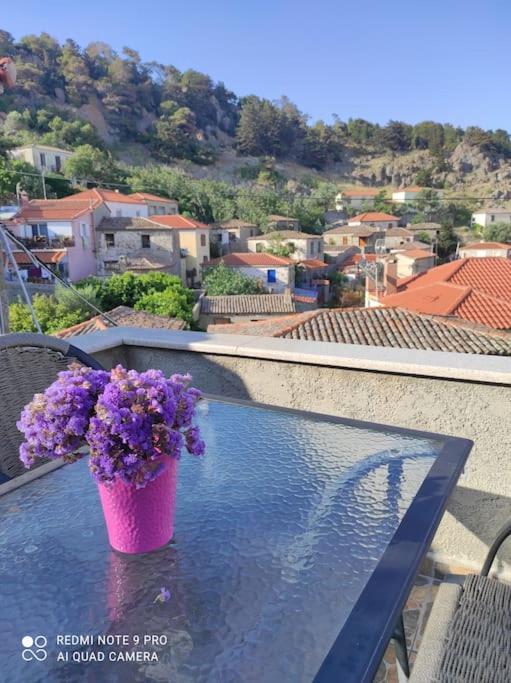 Kontias Villa Petroula מראה חיצוני תמונה